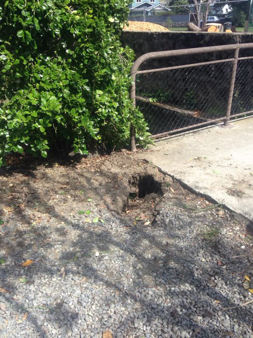 The photograph attached to this parks report