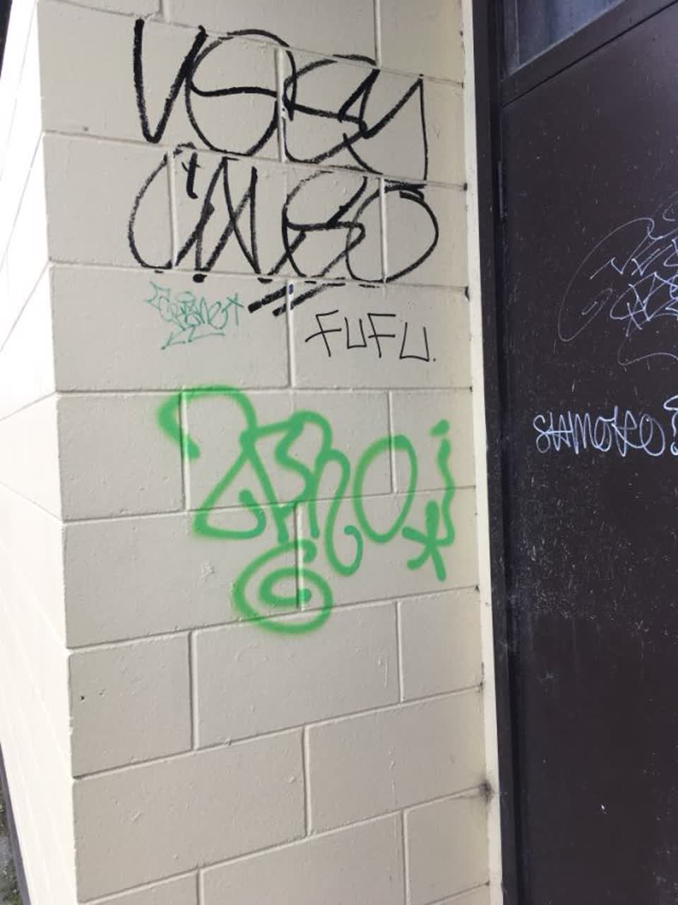 The photograph attached to this graffiti report