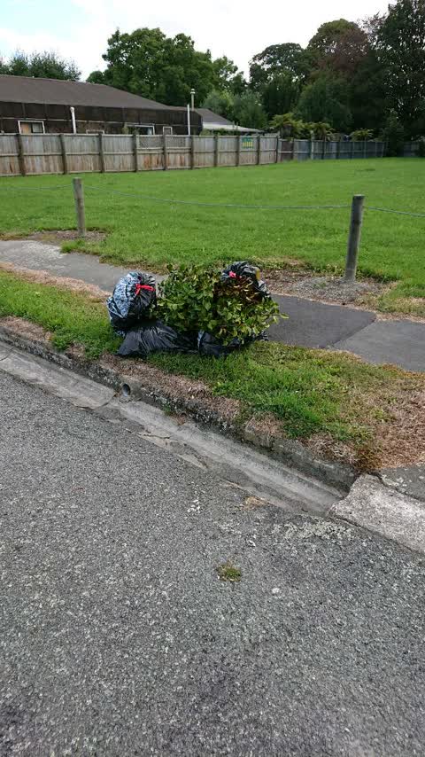 Rubbish/Recycling, a report photo