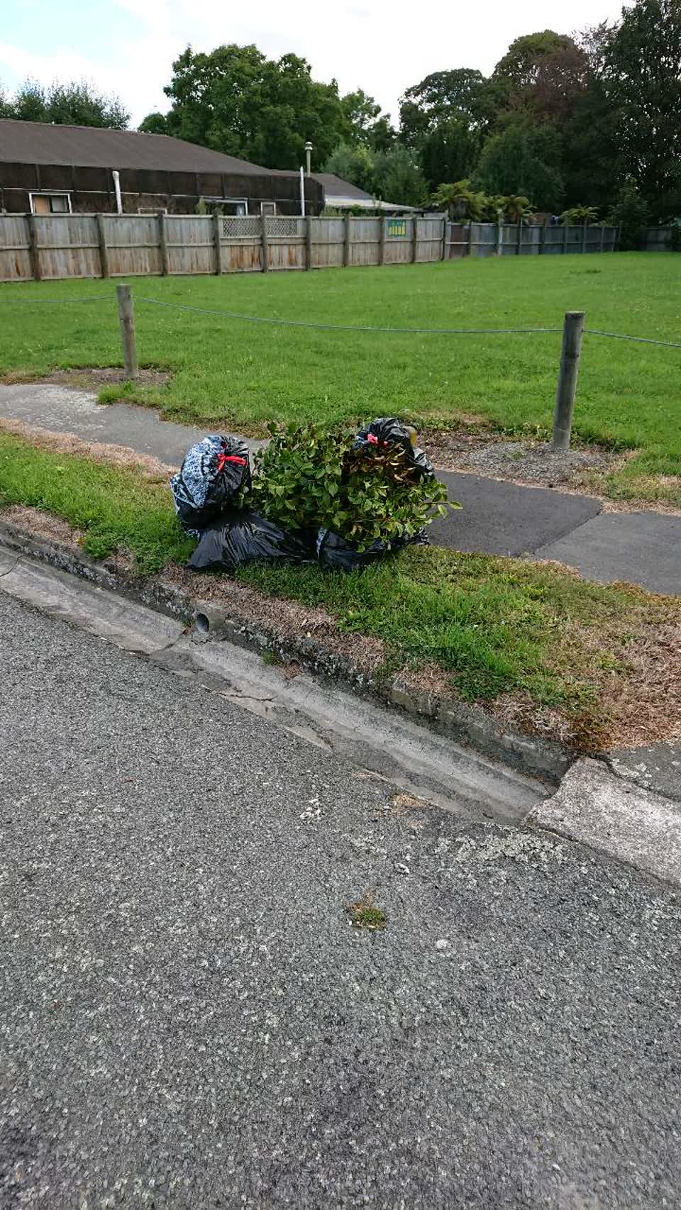 The photograph attached to this rubbish/recycling report