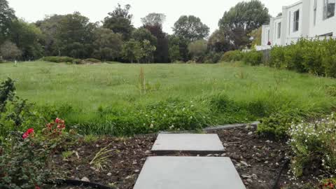 Parks, a report photo