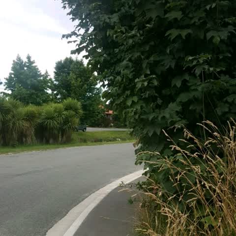 Roading/Streets, a report photo