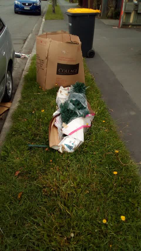 Rubbish/Recycling, a report photo