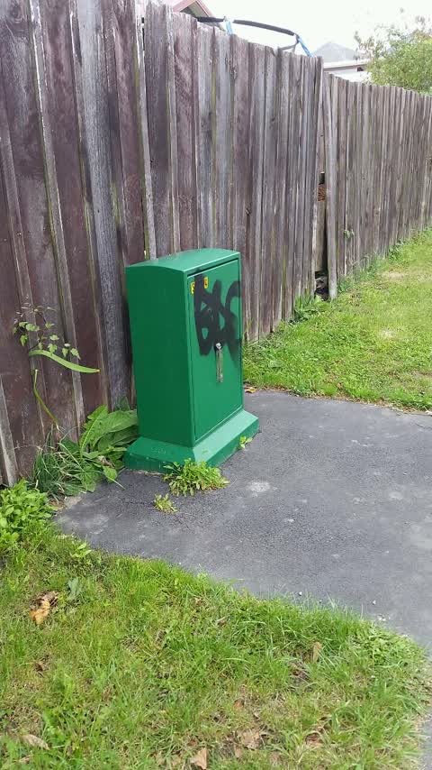 Graffiti, a report photo