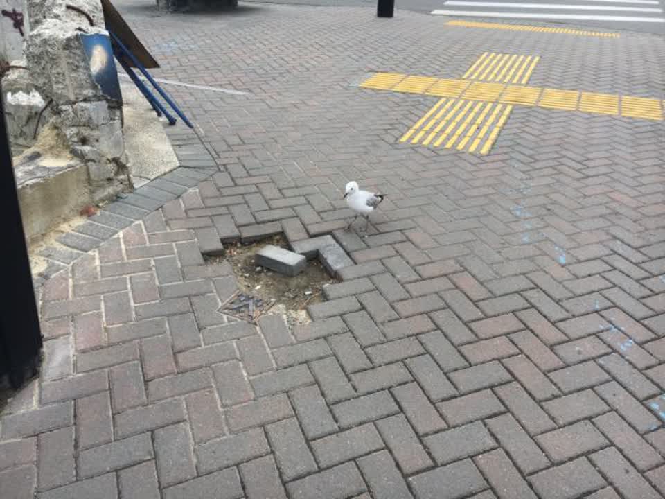 The photograph attached to this roading/streets report
