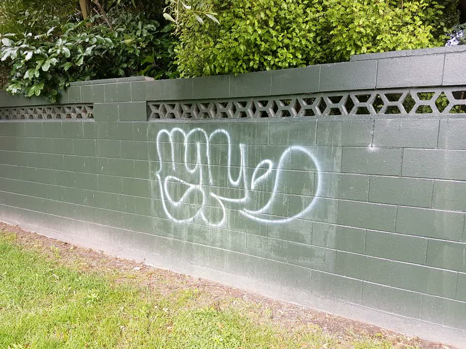 The photograph attached to this graffiti report