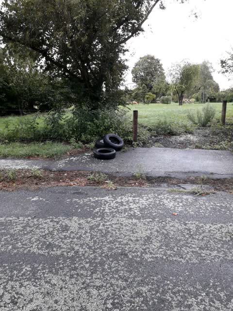 Rubbish/Recycling, a report photo