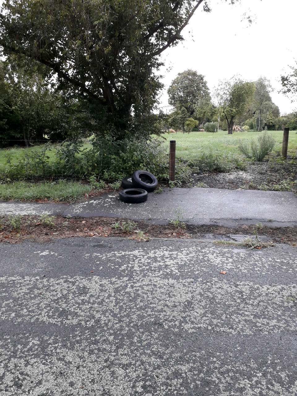 The photograph attached to this rubbish/recycling report