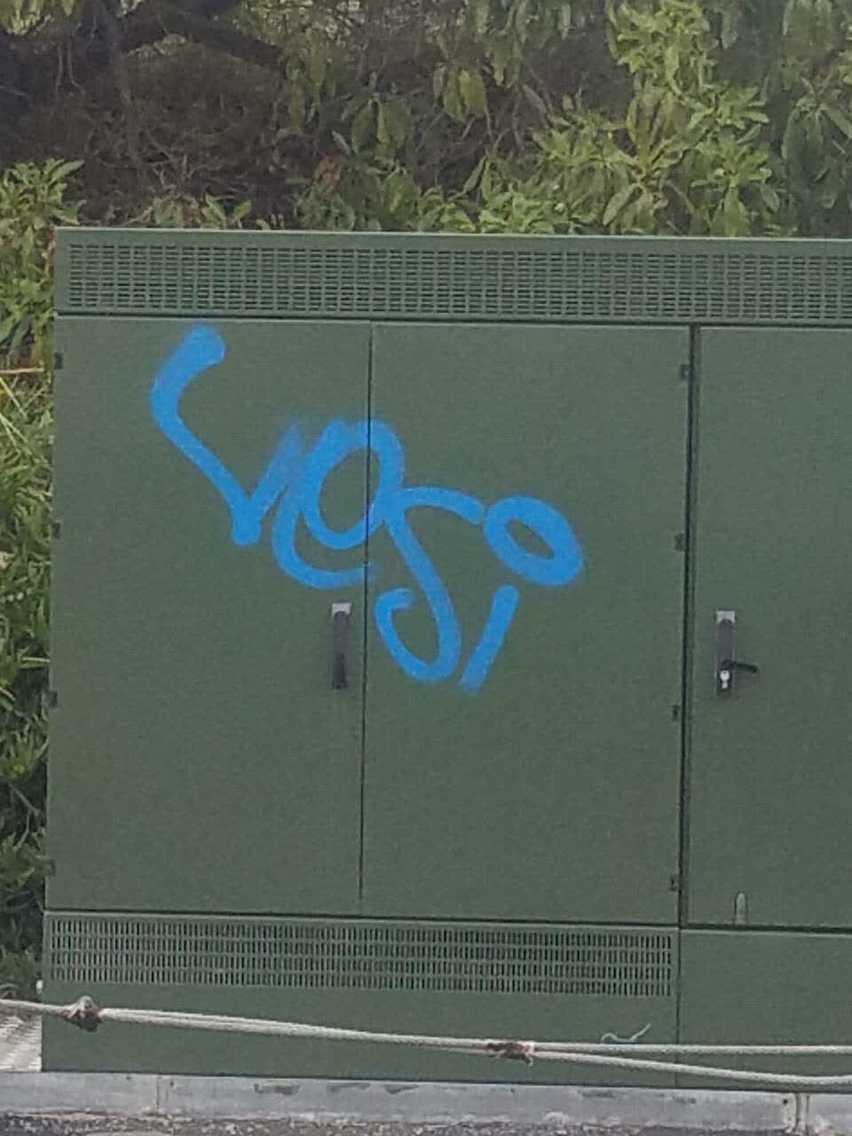 The photograph attached to this graffiti report