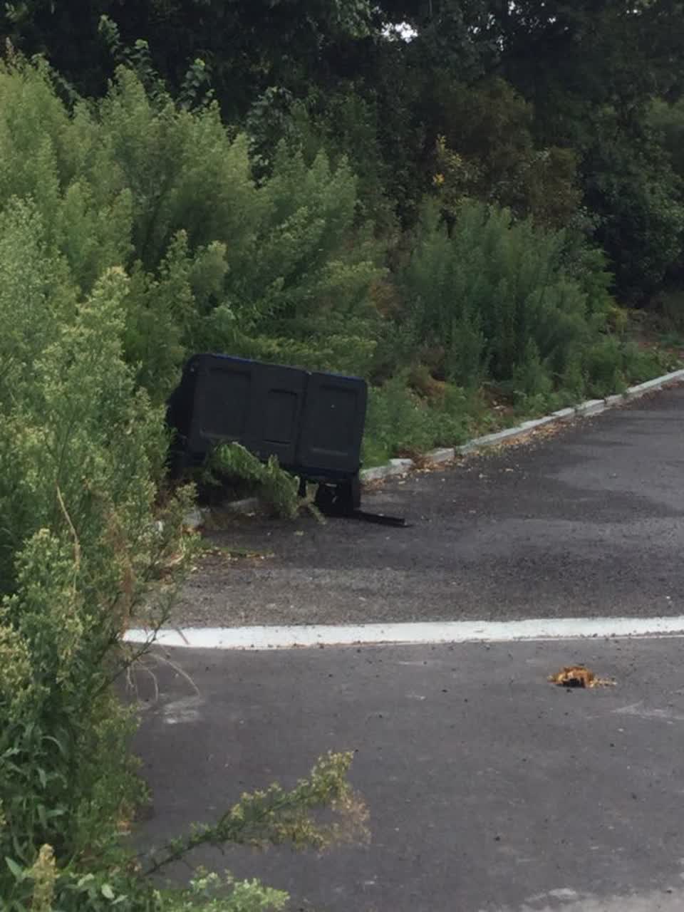 The photograph attached to this rubbish/recycling report