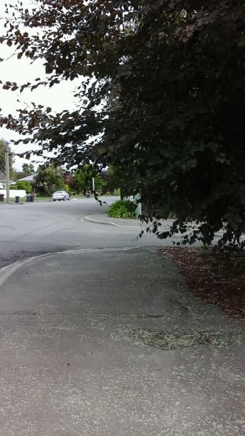 Roading/Streets, a report photo