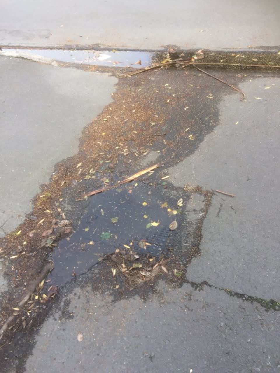 The photograph attached to this wastewater/stormwater report