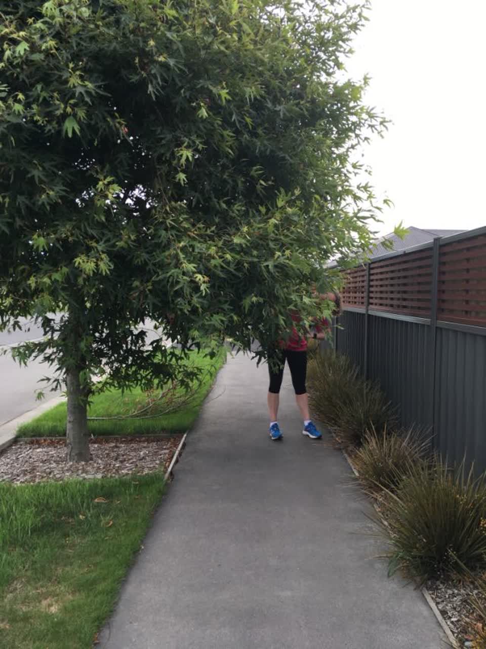 The photograph attached to this parks report