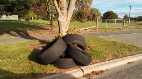 Rubbish/Recycling — a report photo