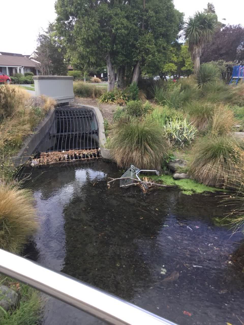 The photograph attached to this parks report
