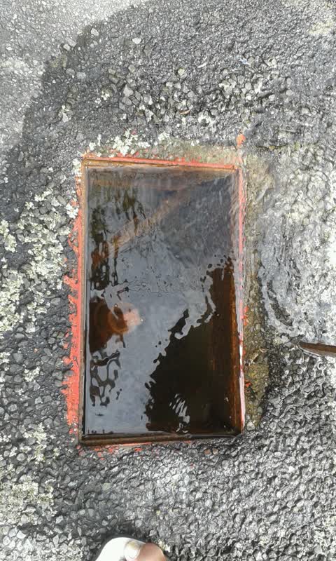 Wastewater/Stormwater, a report photo
