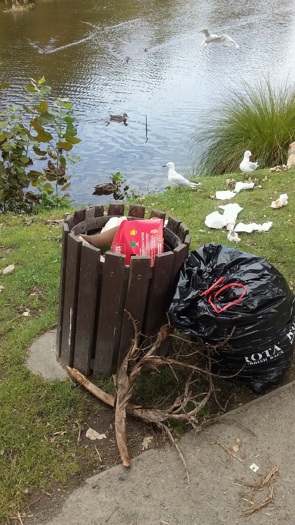 The photograph attached to this rubbish/recycling report