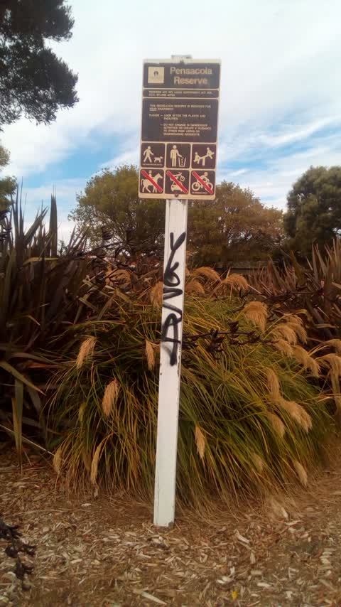 Graffiti, a report photo