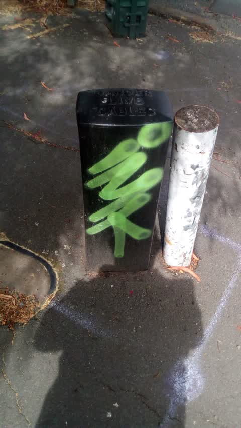 Graffiti, a report photo