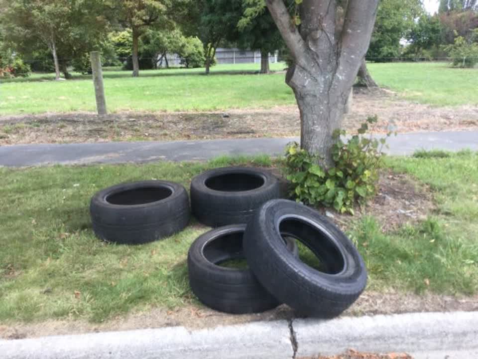 The photograph attached to this rubbish/recycling report