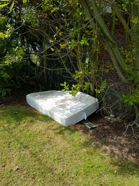 Rubbish/Recycling, a report photo