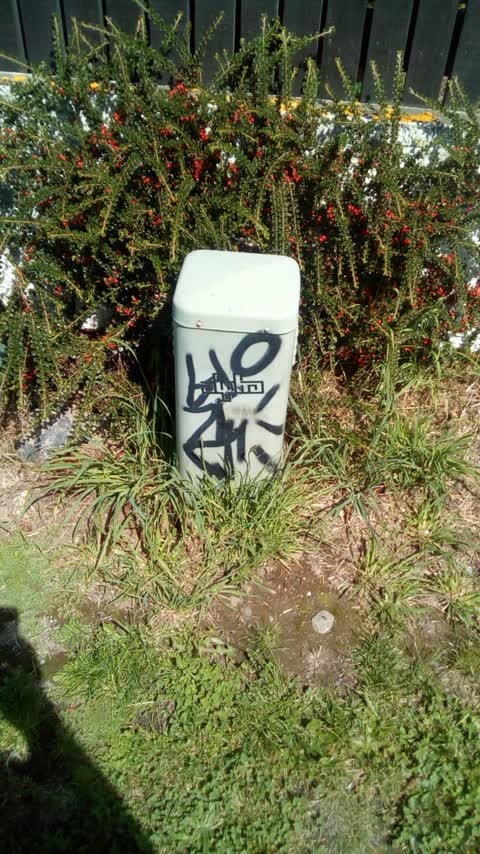 Graffiti, a report photo