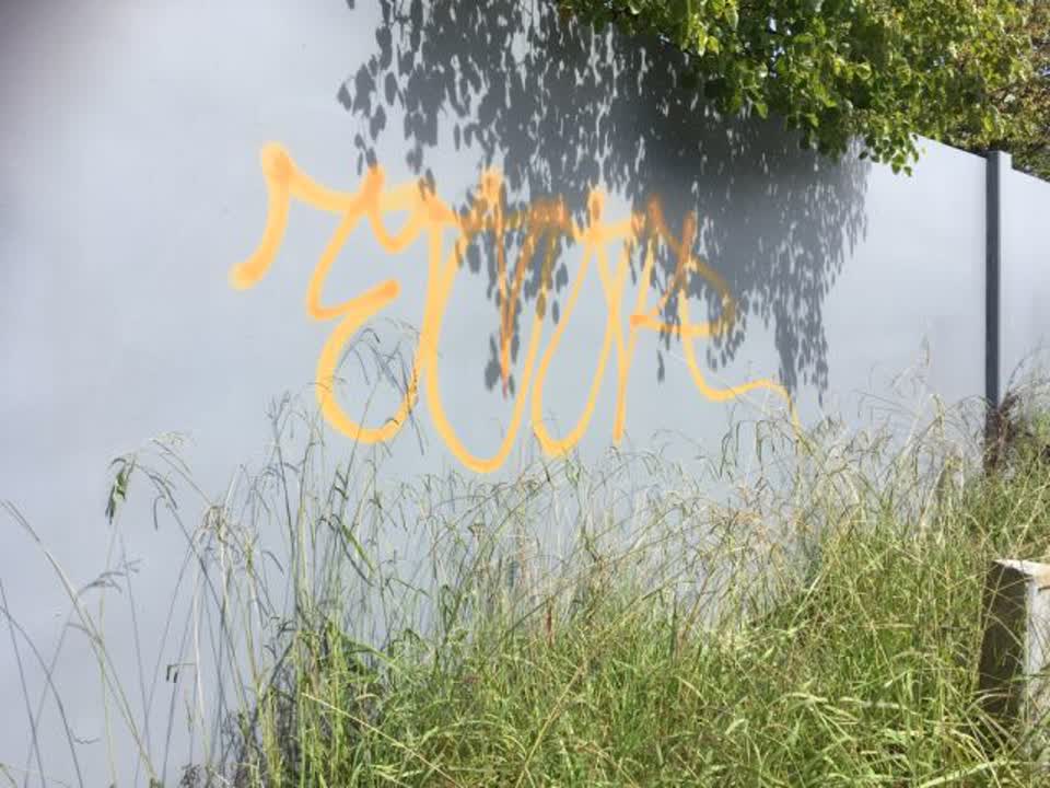 The photograph attached to this graffiti report