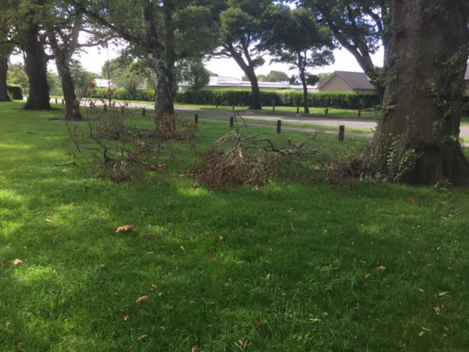 The photograph attached to this parks report