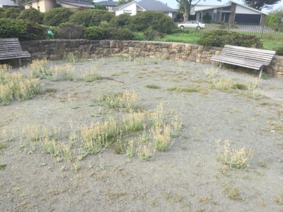 The photograph attached to this parks report