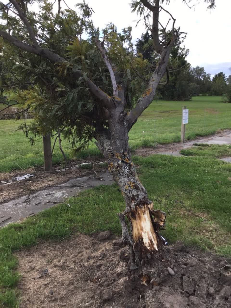 The photograph attached to this roading/streets report
