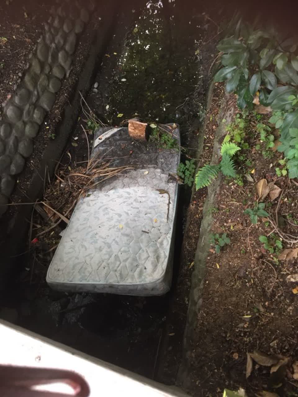 The photograph attached to this rubbish/recycling report