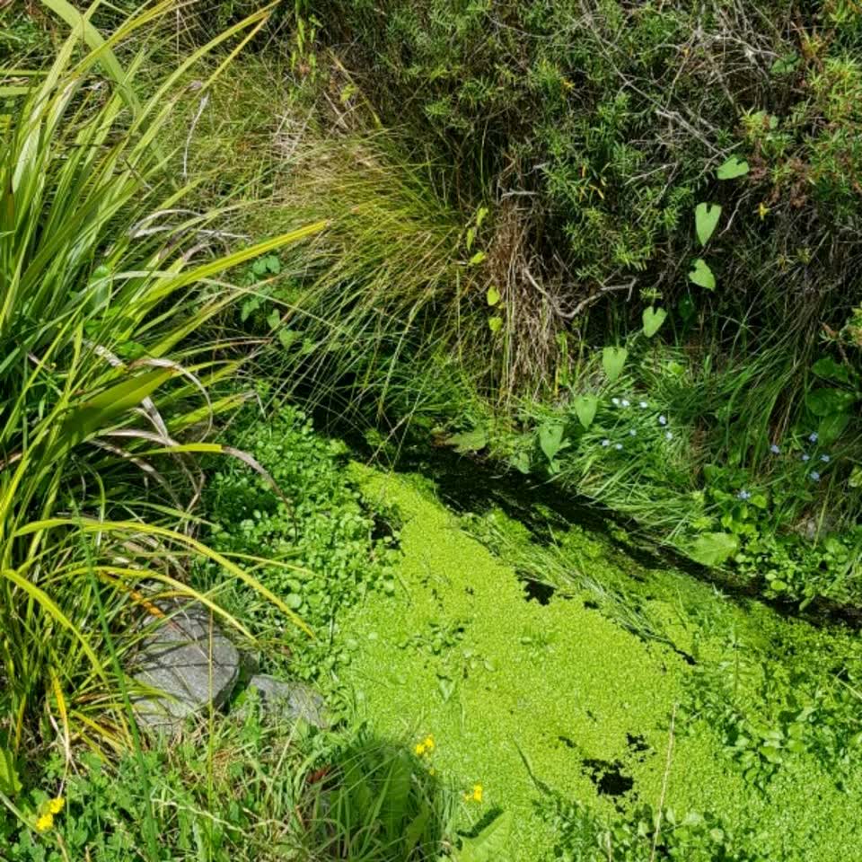 The photograph attached to this wastewater/stormwater report