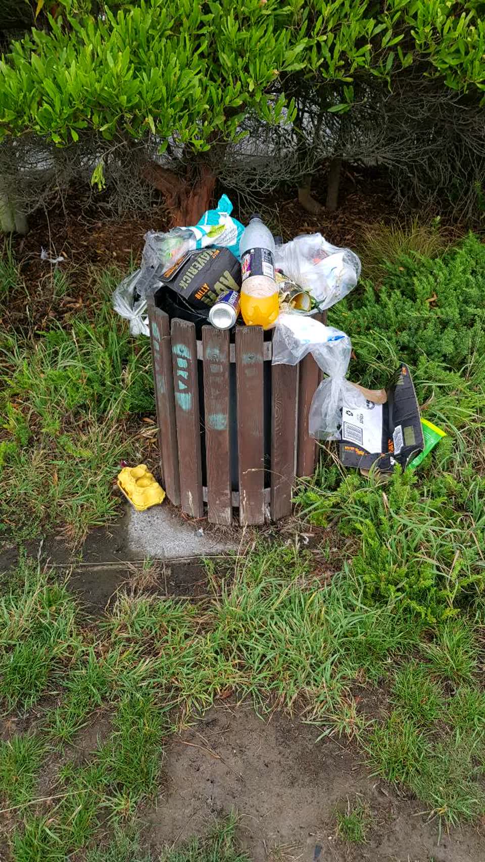 The photograph attached to this rubbish/recycling report