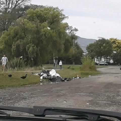 Rubbish/Recycling, a report photo