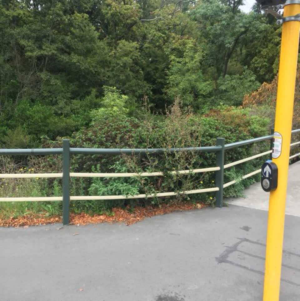 The photograph attached to this parks report