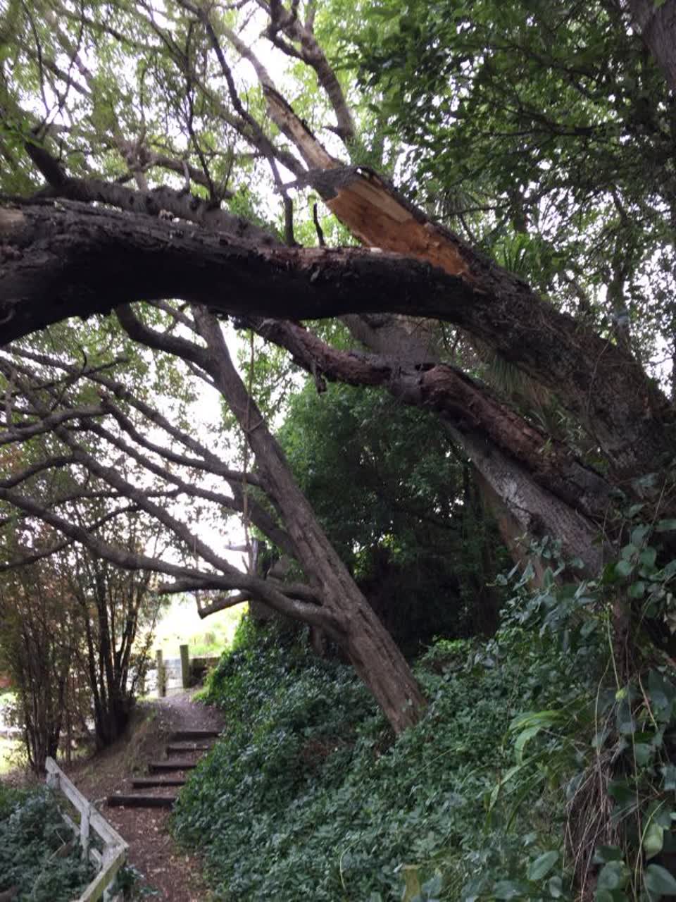 The photograph attached to this parks report