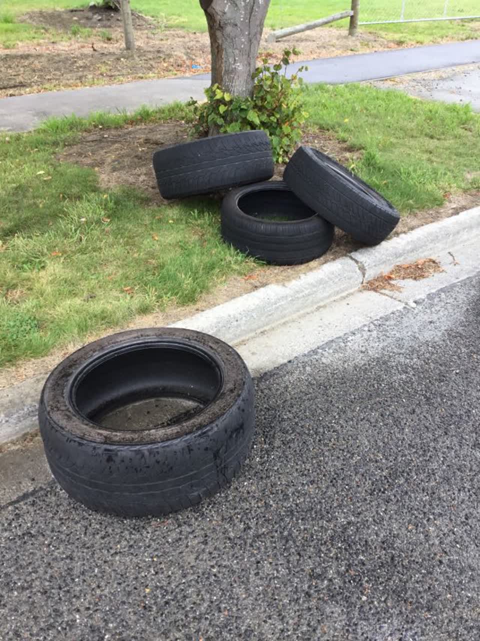 The photograph attached to this rubbish/recycling report