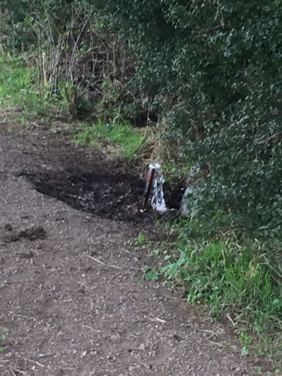 The photograph attached to this water supply report