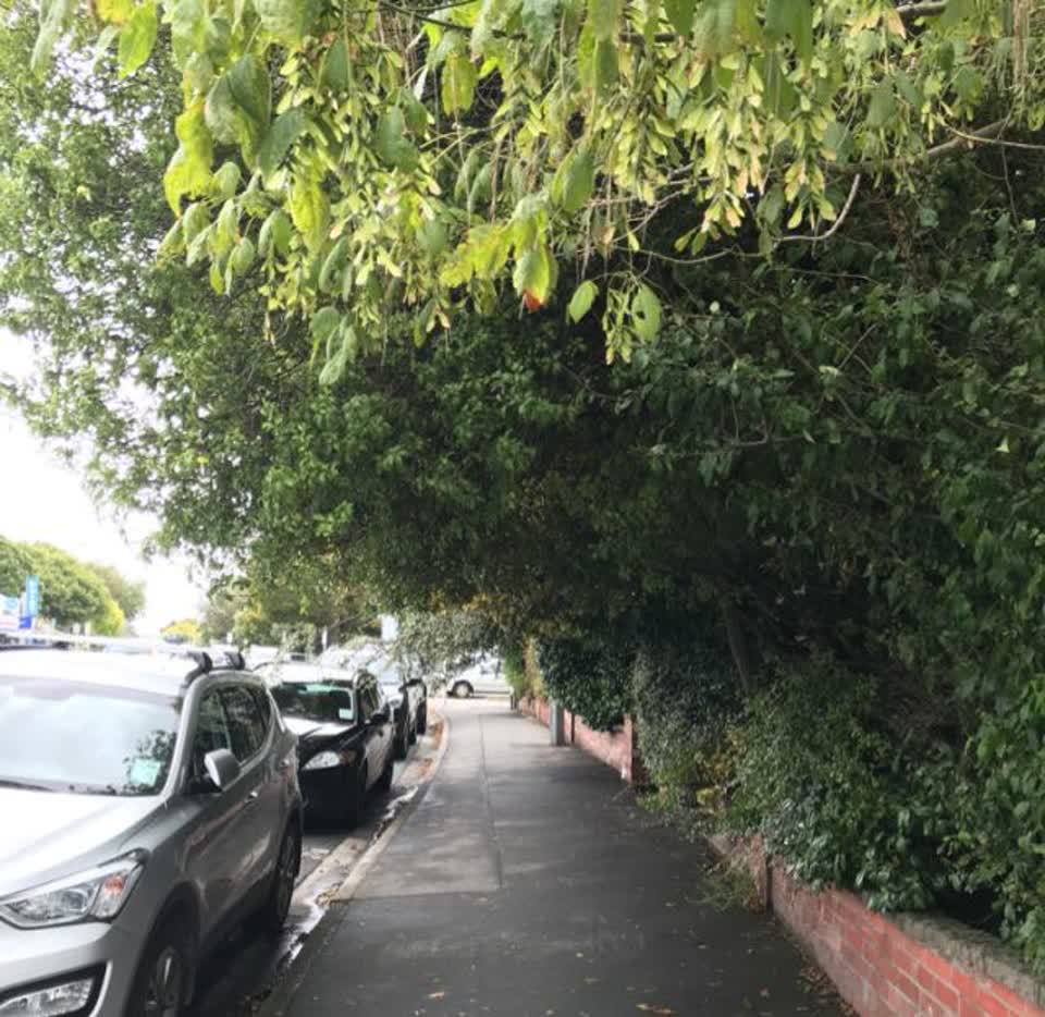 The photograph attached to this roading/streets report