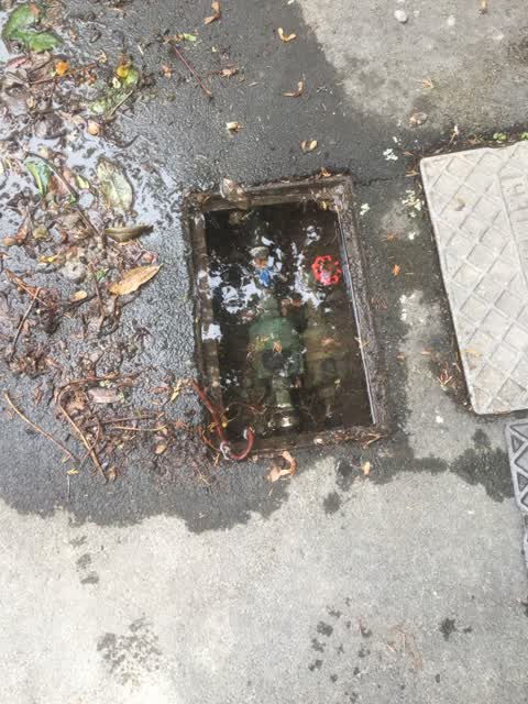 Water Supply, a report photo