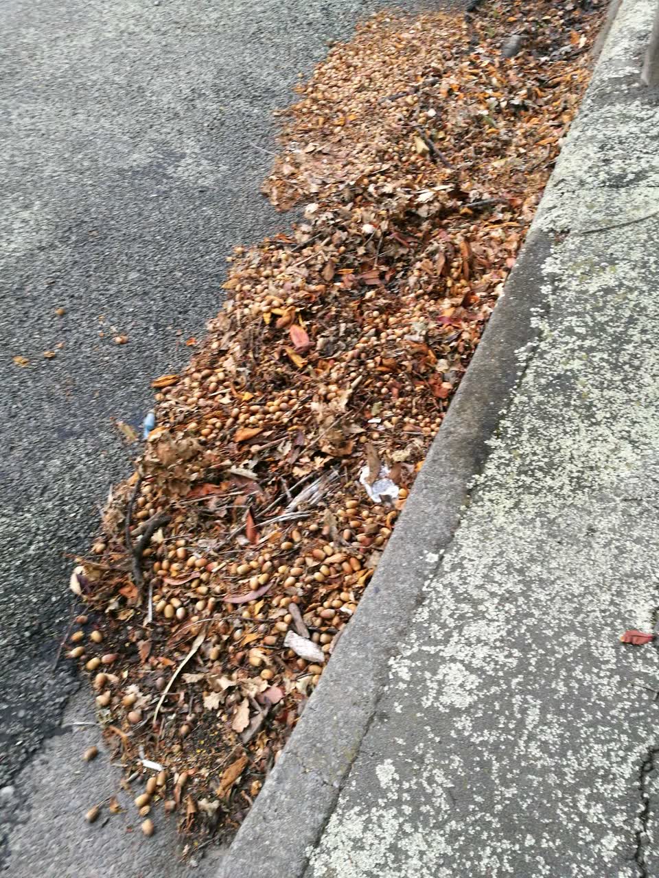 The photograph attached to this wastewater/stormwater report