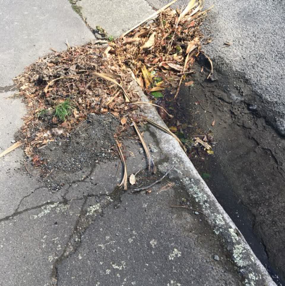 The photograph attached to this roading/streets report