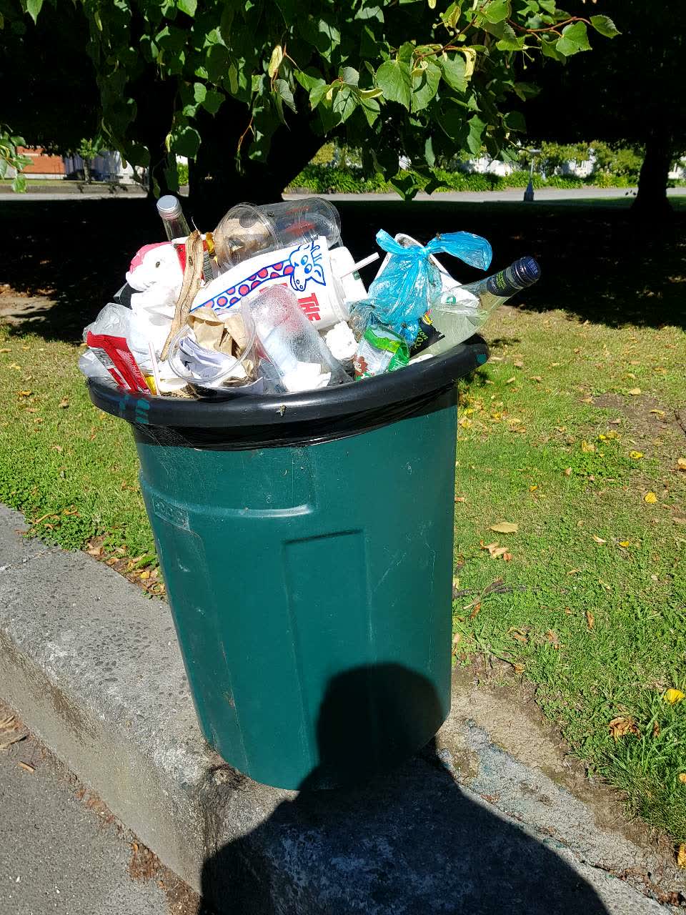 The photograph attached to this rubbish/recycling report