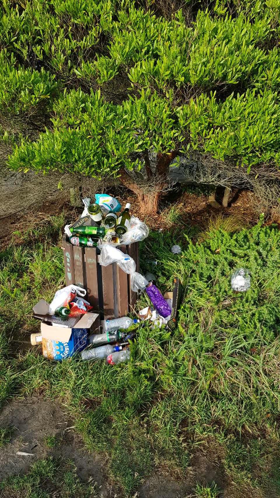 The photograph attached to this rubbish/recycling report