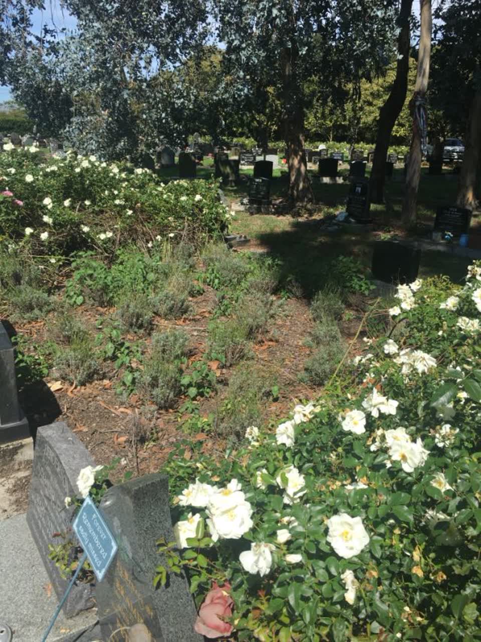 The photograph attached to this parks report
