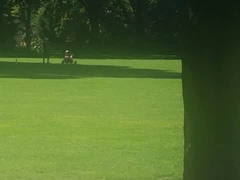 Parks, a report photo