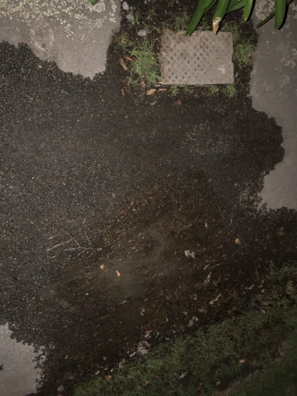 The photograph attached to this water supply report