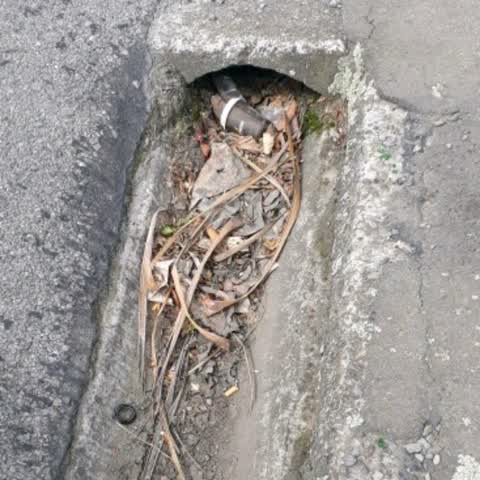 Wastewater/Stormwater, a report photo