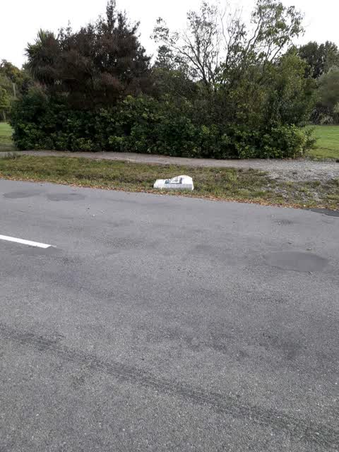 Rubbish/Recycling — a report photo