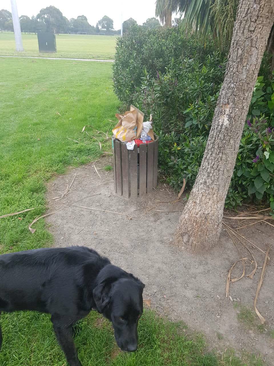 The photograph attached to this rubbish/recycling report